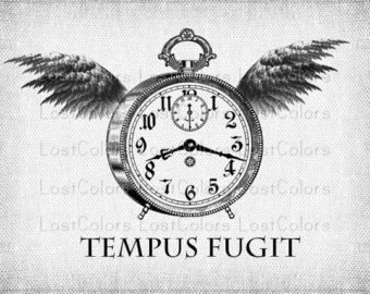 Was ist Tempus Fugit: Bedeutung dieses lateinischen Wortes